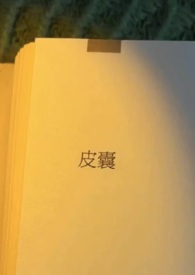 《皮囊》在线阅读